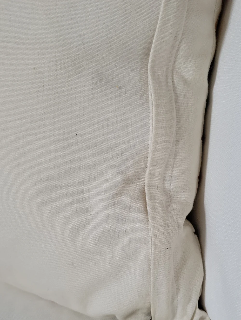 Decorative Throw Pillow